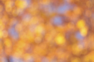 Turuncu, sarı ve mavi daireler bokeh arka plan. Büyük boy.