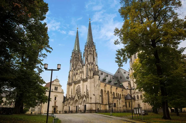 Sankt Wenzel Kathedrale Eine Gotische Kathedrale Wenzelsplatz Olomouc Tschechien Der — Stockfoto