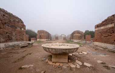Efes, Selcuk İzmir, Türkiye - Efes antik kenti. UNESCO Dünya Mirası alanı Ionia kıyısında antik bir Roma binasıdır. Türkiye 'de en çok ziyaret edilen antik kent