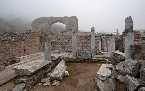 Efeze Selcuk Izmir Turkije Oude Stad Van Efes Unesco Werelderfgoedlocatie — Stockfoto