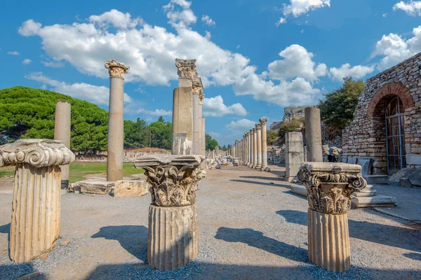 Ephesus Selcuk Izmir Turkey October 2019 Ancient City Efes Unesco — Stock Photo, Image