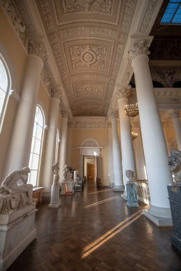 Saint Petersburg, Rusya - 05 Kasım 2019: Devlet Rus Müzesi. Müze, St. Petersburg 'daki en büyük Rus sanat eserleri deposudur.. 