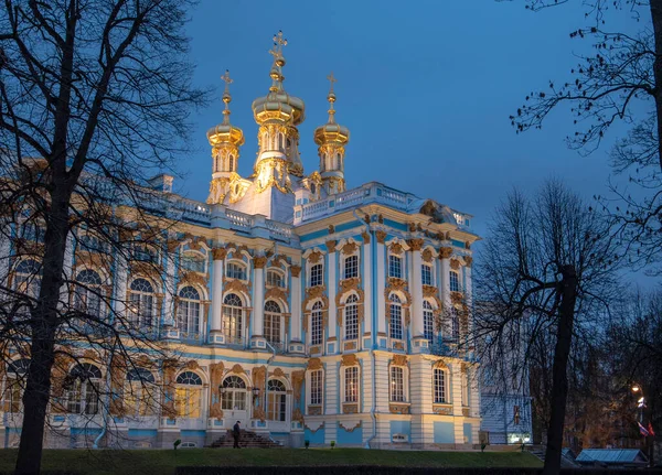 Tsarskoye Selo Pushkin San Petersburgo Rusia Palacio Catalina Situado Ciudad — Foto de Stock