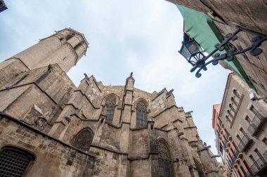 Barcelona Katedrali - Santa Cruz Katedrali ve Santa Eulalia (Kutsal Haç ve Aziz Eulalia) Barcelona, İspanya