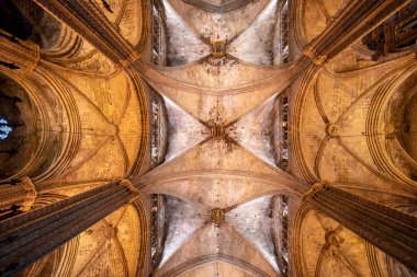 Barcelona, İspanya - 15 Kasım 2019: Barcelona Katedrali 'nin iç ve mimari unsurları - Santa Cruz Katedrali y Santa Eulalia (Kutsal Haç ve Aziz Eulalia). Tavan