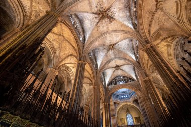 Barcelona, İspanya - 15 Kasım 2019: Barcelona Katedrali 'nin iç ve mimari unsurları - Santa Cruz Katedrali y Santa Eulalia (Kutsal Haç ve Aziz Eulalia). Tavan