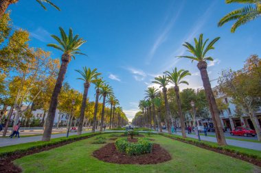 Fes, Fas - 15 Aralık 2019: Park 'taki Palmiye Ağaçları Panoraması (Parc). Başlıca eğlence ve şehir merkezinde güzel yeşil bahçe Fez..