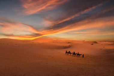 Merzouga, Fas, Afrika yakınlarındaki Sahra Çölü 'ndeki Erg Chebbi kumulları üzerinde inanılmaz bir gün batımı. Göz kamaştırıcı gökyüzü olan güzel bir kum manzarası. Kum tepelerinden geçen bir deve kervanı. Maroc