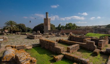 Chellah veya Sala Colonia, Fas 'ın Rabat kentinde bulunan bir ortaçağ mezarlığıdır. Rabat, Afrika 'nın Fas' ın başkentidir. Park eski harabeler ve tarih forumuyla dolu.