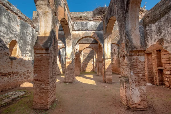 Old Ruins and Arches of Chellah or Sala Colonia is a medieval fortified necropolis located in Rabat capital city, Morocco. D\'Abu Al-Hassan mausoleum. Park full of old ruins and history. Unesco site
