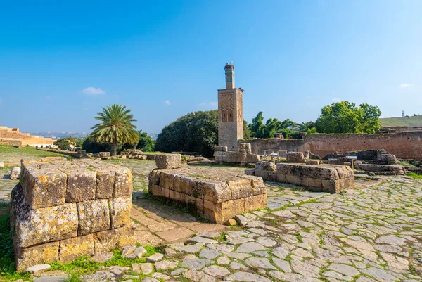 Minaret Mosque Chellah Sala Colonia Medieval Fortified Necropolis Located Rabat — Stock Photo, Image