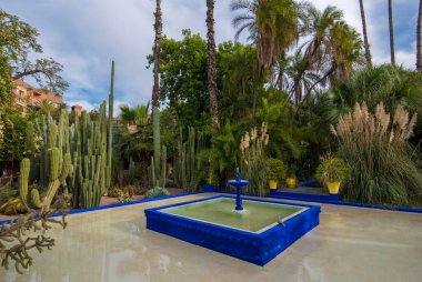 Majorelle Garden, Marakeş, Fas 'ta bir botanik bahçesi ve sanatçı manzarası bahçesi. Jardin Majorelle Kaktüsü ve tropik palmiyeler. Çöl ülkesinin içindeki cennet