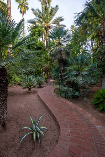 Der Majorelle Garden Ist Ein Botanischer Garten Und Ein Landschaftsgarten — Stockfoto