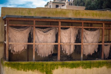 FES, MOROCCO - 20 Kasım 2019: deri için Fez 'in tabakhanesinde hayvan derisi kurutulmuş. Chouara Tabakhanesi, 11. yüzyıldan kalma en eski çalışma tarihi. Medine 'nin kalbinde
