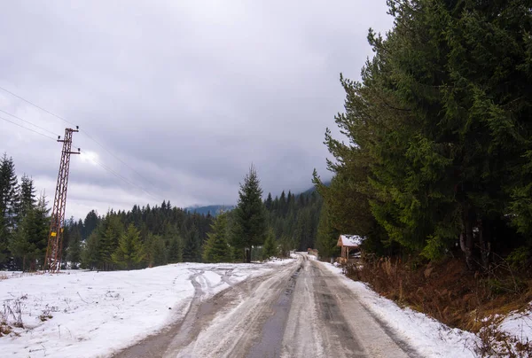 Uma Floresta Pinheiros Verde Fresco Estrada Motocicleta Coberta Com Neve — Fotografia de Stock