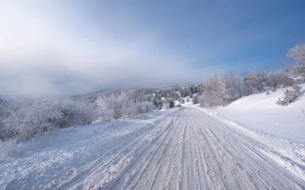 Dimineața Rece Iarnă Pădurea Munte Brazi Acoperiți Zăpadă Scenă Splendidă — Fotografie, imagine de stoc