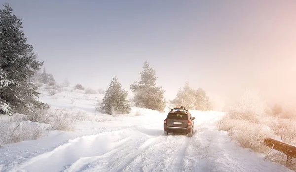 Красивый Живописный Вид Пустой Сельской Дороги Заснеженным Лесным Ландшафтом Время — стоковое фото