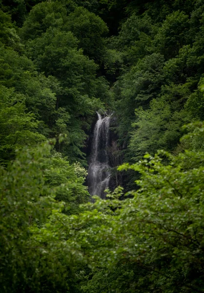 Waterfall photographed among the branches of trees in the forests of Rila Mountain, Bulgaria in the spring