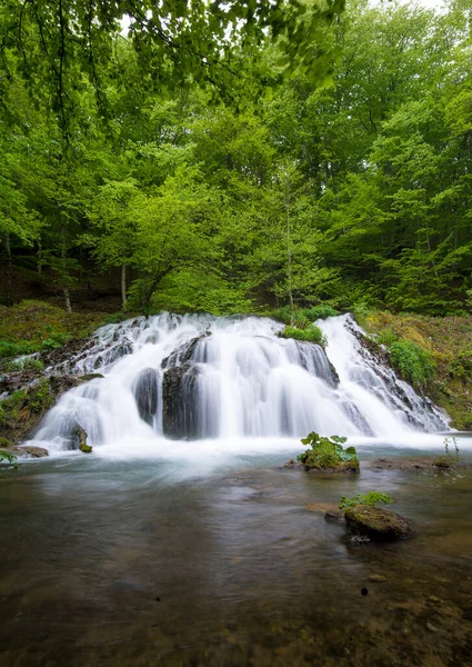 Vízesés Erdőben Gyönyörű Vízesés Dokuzak Strandzha Mountain Bulgária Tavasszal Zöld — Stock Fotó