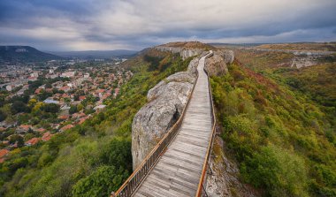 Ovech Kalesi, Bulgaristan 'ın Provadia kentinin doğusunda yer alan taş bir kale. Kale art arda Trakyalılar, Romalılar, Bizanslılar, Bulgarlar ve Türkler tarafından işgal edildi..
