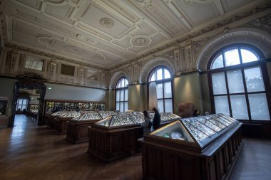 Viyana, Avusturya - 29 Ocak 2020: Doğal Tarih Müzesi 'nin içi. Birçok örnek, mineral, fosil vs. sergilenen en büyük ve eski müze..