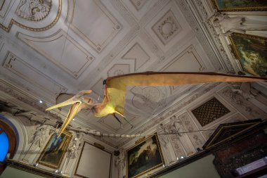 Viyana, Avusturya - 29.01.2020: Doğal Tarih Müzesi (Naturhistorisches Museum) iç kısımda. Dinozor ve mamut kemiklerinin sergilendiği en büyük ve eski müze.