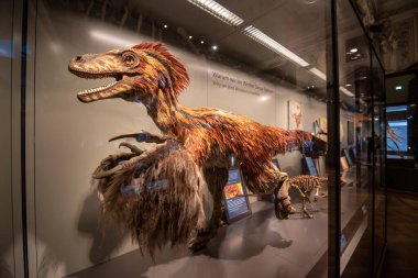 Viyana, Avusturya - 29.01.2020: Doğal Tarih Müzesi (Naturhistorisches Museum) iç kısımda. Dinozor ve mamut kemiklerinin sergilendiği en büyük ve eski müze.