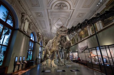 Viyana, Avusturya - 29.01.2020: Doğal Tarih Müzesi (Naturhistorisches Museum) iç kısımda. Dinozor ve mamut kemiklerinin sergilendiği en büyük ve eski müze.