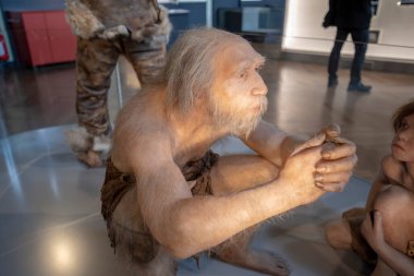 Viyana, Avusturya - 29 Ocak 2020: Doğal Tarih Müzesi 'nin içi. Birçok örnek, mineral, fosil vs. sergilenen en büyük ve eski müze..