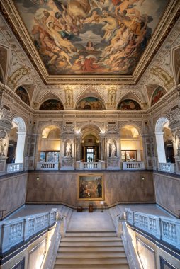 Viyana, Avusturya - 29 Ocak 2020: Doğal Tarih Müzesi 'nin içi. Wien 'deki en büyük ve en eski müze. Barok Sarayı.