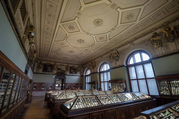 Vídeň Rakousko Ledna 2020 Uvnitř Muzea Přírodní Historie Naturhistorisches Museum — Stock fotografie