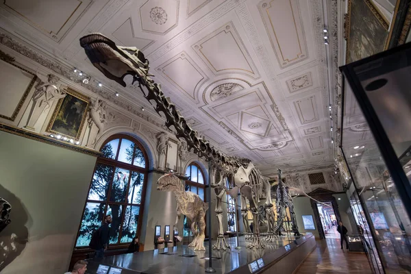 Bécs Ausztria 2020 Természettudományi Múzeum Naturhistorisches Museum Belső Tere Legnagyobb — Stock Fotó