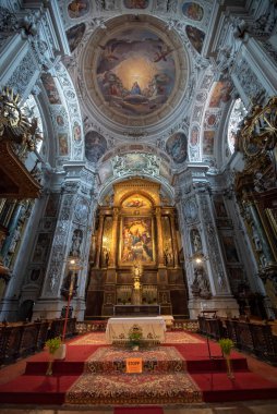 VIENNA, AUSTRIA - 29.01.2020: Dominik Kilisesi 'nin İçi. St. Maria Rotunda Kilisesi olarak da bilinir, 1631-1634 yılları arasında erken Barok tarzında inşa edilmiştir..