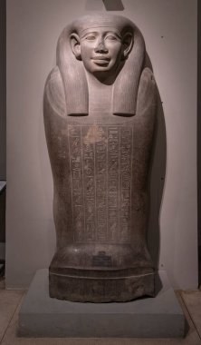 Viyana, Avusturya - 15.02.2020: Sanat Tarihi Müzesi (Kunsthistorisches Museum). Mumyalar, lahitler ve antik Mısır sanatı da dahil olmak üzere Mısır 'a adanmış salon.