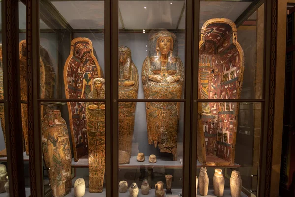 Bécs Ausztria 2020 Művészeti Múzeum Belseje Kunsthistorisches Museum Hall Szentelt — Stock Fotó