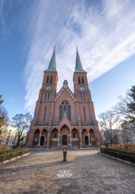 Viyana, Avusturya - 11.03.2020: Wien 'deki Saint Brigitta Kilisesi. Brigittakirche, mimar Friedrich von Schmidt 'in Neo-Gotik tarzında bir Roma Katolik kilisesidir. 