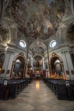 Viyana, Avusturya - 10.02.2020: Barok Kilisesi 'nin İçi Maria Treu - Katholische Kirche Piaristenkirche veya Wien' deki Roma Katolik Piarist Kilisesi