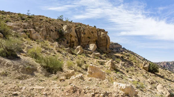 Dana Biosphere Reserve is Jordan's largest nature reserve, located in south-central Jordan and includes mountain slopes of Eastern Rift Valley to Wadi Arab. Ecotourism and nature conservatio