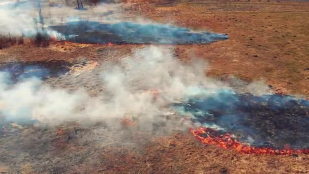 Draufsicht auf trockene Wiese in Flammen — Stockvideo