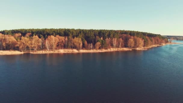 Karışık orman Nehri boyunca Panorama görünümünü — Stok video