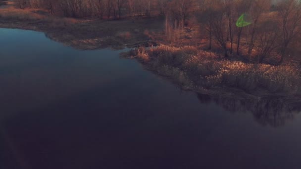 Ağaçlar Panorama görünümünü nehir üzerinde — Stok video