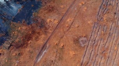 Üstten görünüm tahribe orman