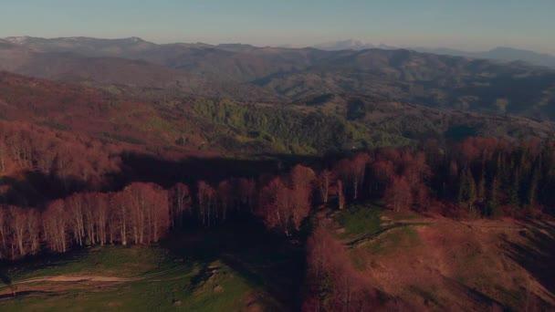 Encostas montanhosas cobertas de floresta — Vídeo de Stock