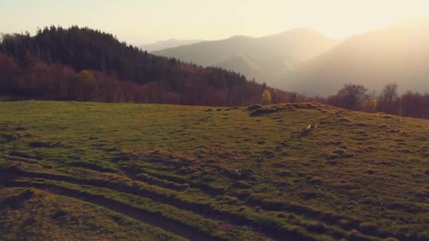 Panorama vista da montanha farcau — Vídeo de Stock