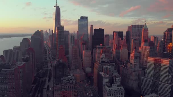 Bovenaanzicht van het centrum van new york — Stockvideo