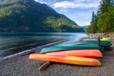 Row of colorful kayaks lying on the shore of Lake Crescent on late afternoon, Olympic National Park, Washington State, USA. clipart