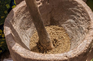 Bir Afrika geleneksel ahşap harç ve havaneli, Burkina Faso ile kırma tahıllar.