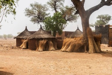Afrika geleneksel olarak bir MOSI village in Burkina Faso saman bazı demetleri ile dairesel onların duvarlar kulübeleri..