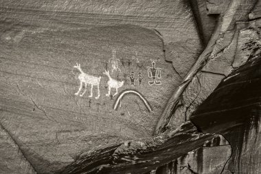 Tek renkli siyah beyaz eski anasazi petroglifler insan ve hayvanların temsil eden Kanyon de Chelly Ulusal Anıtı, Chinle, Arizona, ABD bir kumtaşı uçurum boyalı.