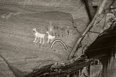 Monochrome black and white old anasazi petroglyphs representing humans and animals painted on a sandstone cliff of the Canyon de Chelly National Monument, Chinle, Arizona, USA. clipart